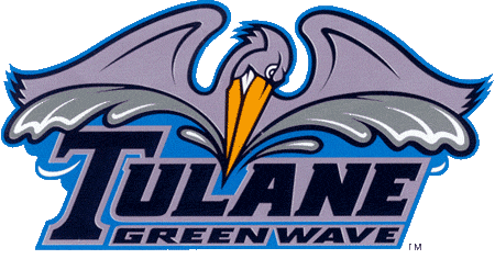 Tulane Green Wave 1998-Pres Alternate Logo t shirts iron on transfers v2